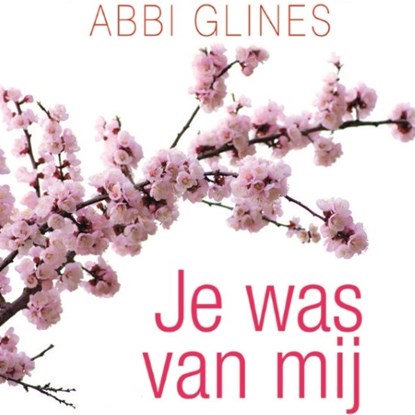 Je was van mij, Abbi Glines - Luisterboek MP3 - 9789462533677
