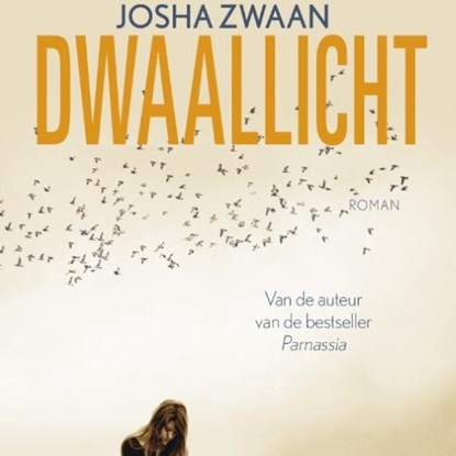 Dwaallicht, Josha Zwaan - Luisterboek MP3 - 9789462533851