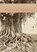 Tranen en troost onder de waringinboom, Ferdinand Kiemeneij - Paperback - 9789462542808