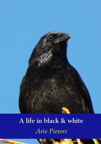 A life in black & white, Arie Pieters - Paperback - 9789462542945