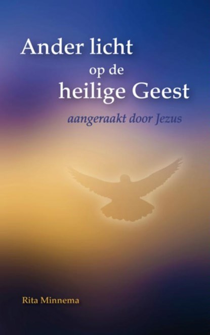 Ander licht op de heilige Geest, Rita Minnema - Paperback - 9789462542976