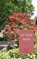 De Rode Beuk, Ruud Offermans - Paperback - 9789462544338