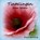 Tintelingen, Klari Nanning - Paperback - 9789462545236