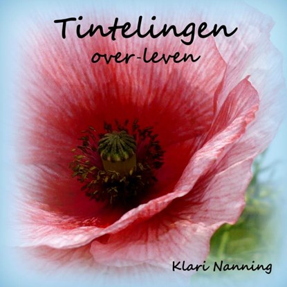 Tintelingen, Klari Nanning - Paperback - 9789462545236