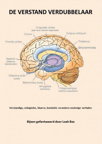 De verstand verdubbelaar, Loek Bos - Paperback - 9789462545342