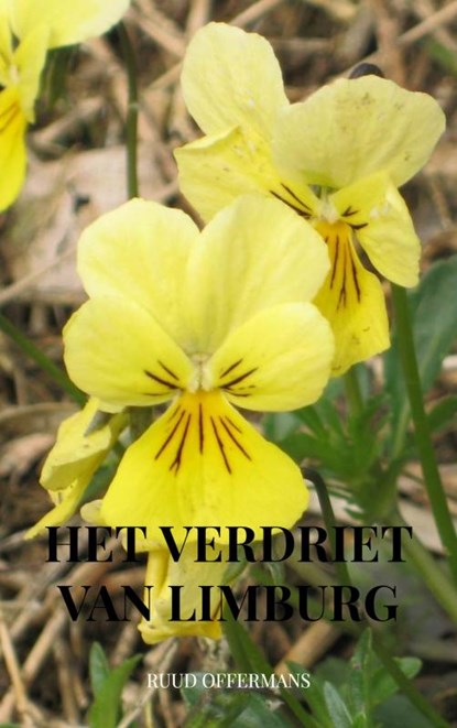 Het verdriet van Limburg, Ruud Offermans - Paperback - 9789462548688