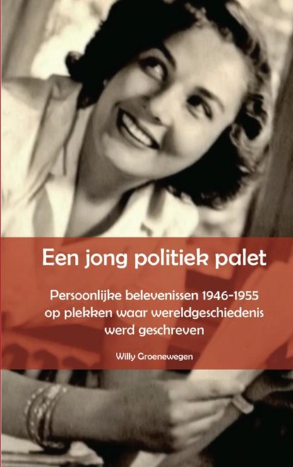 Een jong politiek palet, Willy Groenewegen - Paperback - 9789462549265