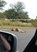 Op safari door het Krugerpark, Egon Berendsen - Paperback - 9789462549913