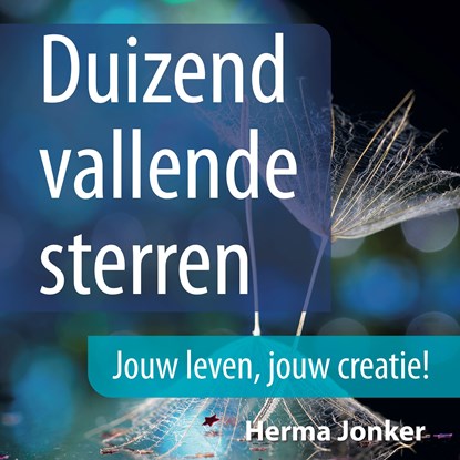 Duizend vallende sterren, Herma Jonker - Luisterboek MP3 - 9789462552418