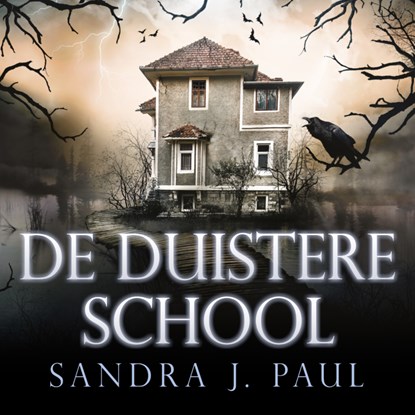 De duistere school, Sandra J. Paul - Luisterboek MP3 - 9789462552562