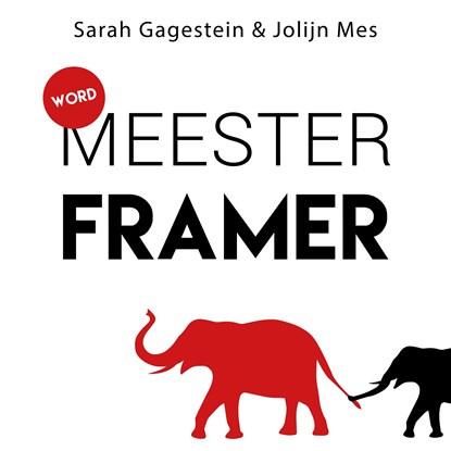 Word meesterframer, Sarah Gagestein ; Jolijn Mes - Luisterboek MP3 - 9789462552760