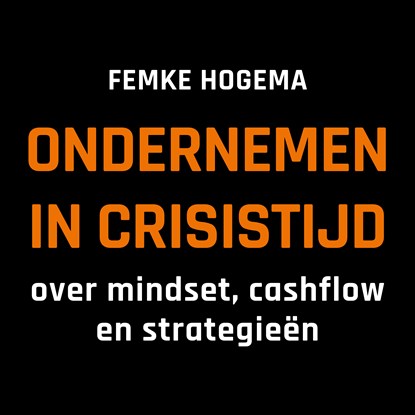 Ondernemen in crisistijd, Femke Hogema - Luisterboek MP3 - 9789462552883