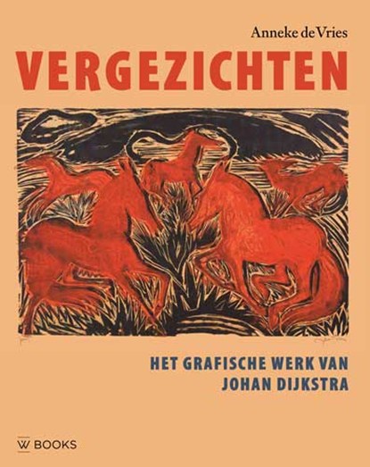 Vergezichten, Anneke de Vries - Gebonden - 9789462583481