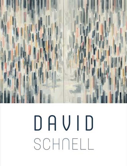 David Schnell, Harry Tupan ; Dominic van der Boogerd - Paperback - 9789462583801
