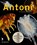 Antoni, niet bekend - Paperback - 9789462585539