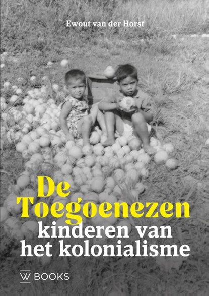 De Toegoenezen, Ewout van der van der Horst - Paperback - 9789462587144