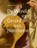 De wereld van Gerard van Honthorst, Liesbeth M. Helmus - Gebonden - 9789462587427