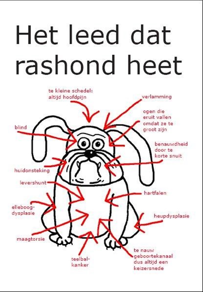 Het leed dat rashond heet, Uitgeverij De Graveinse Abeel ; Stichting Pup in Nood - Paperback - 9789462600515
