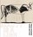 Pablo Picasso &Henri Matisse-Beauty is a line, Josien Beltman ; Alexander Gaude - Paperback - 9789462622807