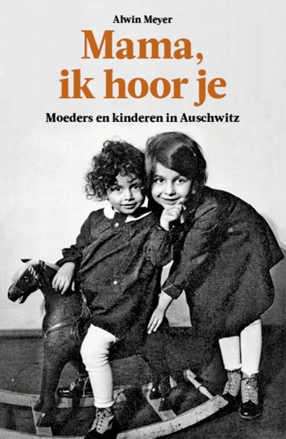 Mama, ik hoor je, Alwin Meyer - Paperback - 9789462624030