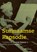 Een Surinaamse Rapsodie, Ellen de Vries - Gebonden - 9789462626089