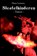 Sleutelkinderen, Hans Lenstra - Paperback - 9789462663107