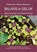 Balans in Geluk, Helene Noordeloos - Paperback - 9789462665286