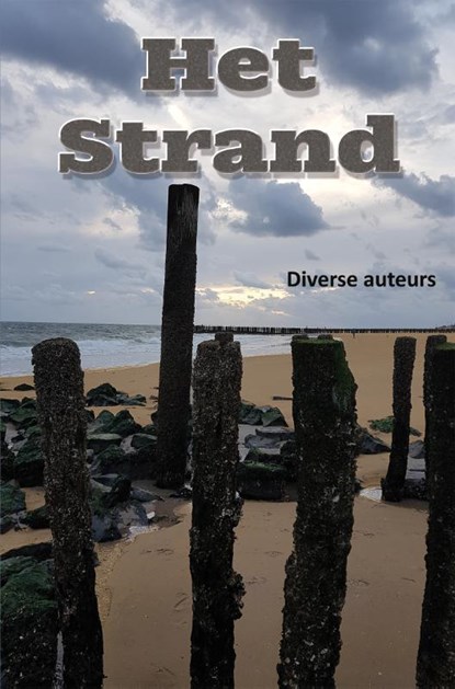 Het strand, Jeany Bijloo - Paperback - 9789462666795