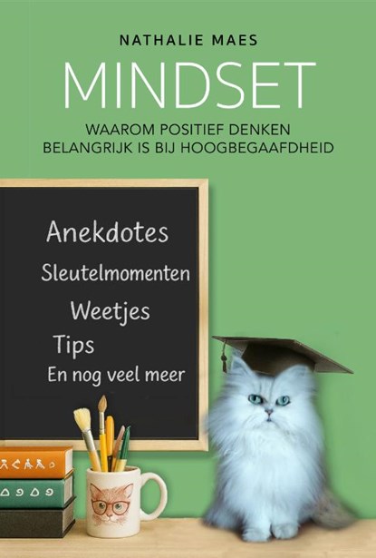 Mindset, Nathalie Maes - Paperback - 9789462667747