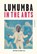 Lumumba in the Arts, Matthias De Groof - Paperback - 9789462701748