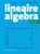 Lineaire algebra, Paul Igodt ; Wim Veys - Paperback - 9789462703148