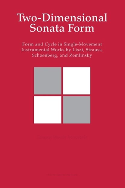 Two-Dimensional Sonata Form, Steven Vande Moortele - Paperback - 9789462704381