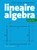 Lineaire algebra, Paul Igodt ; Wim Veys - Paperback - 9789462704909