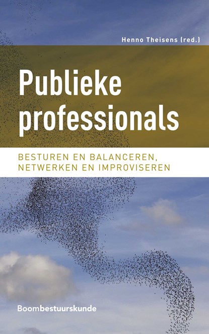 Publieke professionals, Henno Theisens - Ebook Adobe PDF - 9789462749245