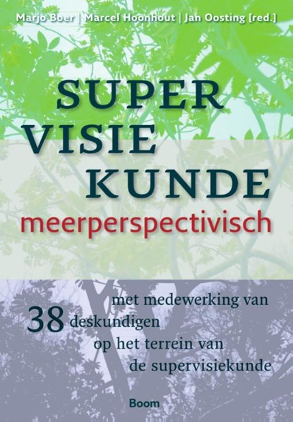 Supervisiekunde, Marjo Boer ; Marcel Hoonhout ; Jan Oosting - Paperback - 9789462760349