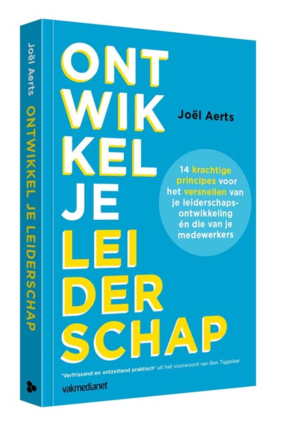 Ontwikkel je leiderschap, Joël Aerts - Ebook - 9789462762565