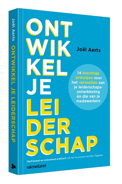 Ontwikkel je leiderschap, Joël Aerts - Ebook - 9789462762565