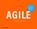 Agile, Rini van Solingen - Gebonden - 9789462762770