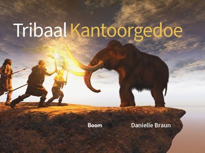 Tribaal Kantoorgedoe, Danielle Braun - Gebonden - 9789462763845
