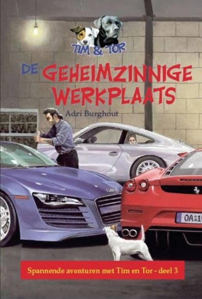 Geheimzinnige werkplaats, Adri Burghout - Ebook - 9789462784994