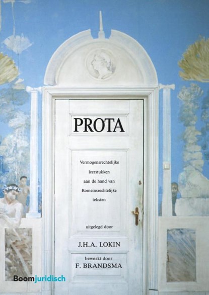 Prota, J.H.A. Lokin - Paperback - 9789462902800