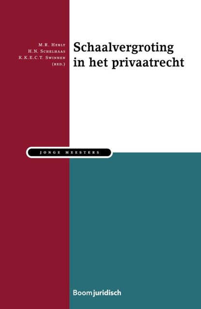 Schaalvergroting in het Privaatrecht, Koen Swinnen - Paperback - 9789462907164