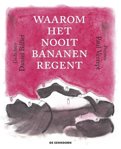 Waarom het nooit bananen regent, Daniël Billiet - Gebonden - 9789462915060