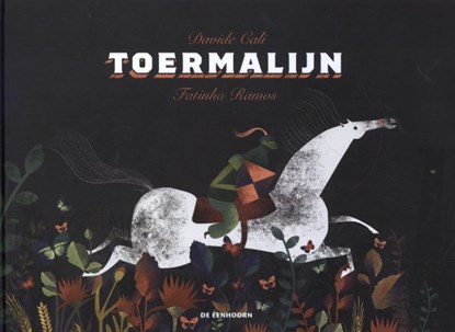 Toermalijn, Davide Cali - Gebonden - 9789462915244