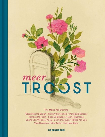 Meer troost, Tine Marie van Damme ; Dominique van Malder ; Dirk Terryn - Gebonden - 9789462917439