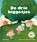 De drie biggetjes, Olivier Tallec - Gebonden - 9789462919303