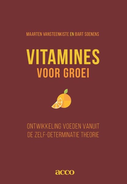 Vitamines voor groei, Maarten Vansteenkiste ; Bart Soenens - Paperback - 9789462922860