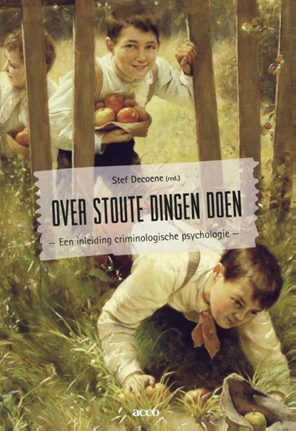 Over stoute dingen doen, Stef Decoene - Paperback - 9789462925717