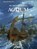 Actium, Jean-Yves Delitte - Gebonden - 9789462941441