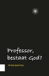 Professor, bestaat God? - Peter Barthel - 9789462984639